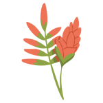 Red Flower