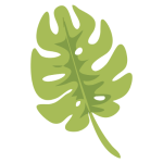 leaf 5 (2)