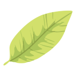 leaf3