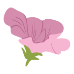 pink 2